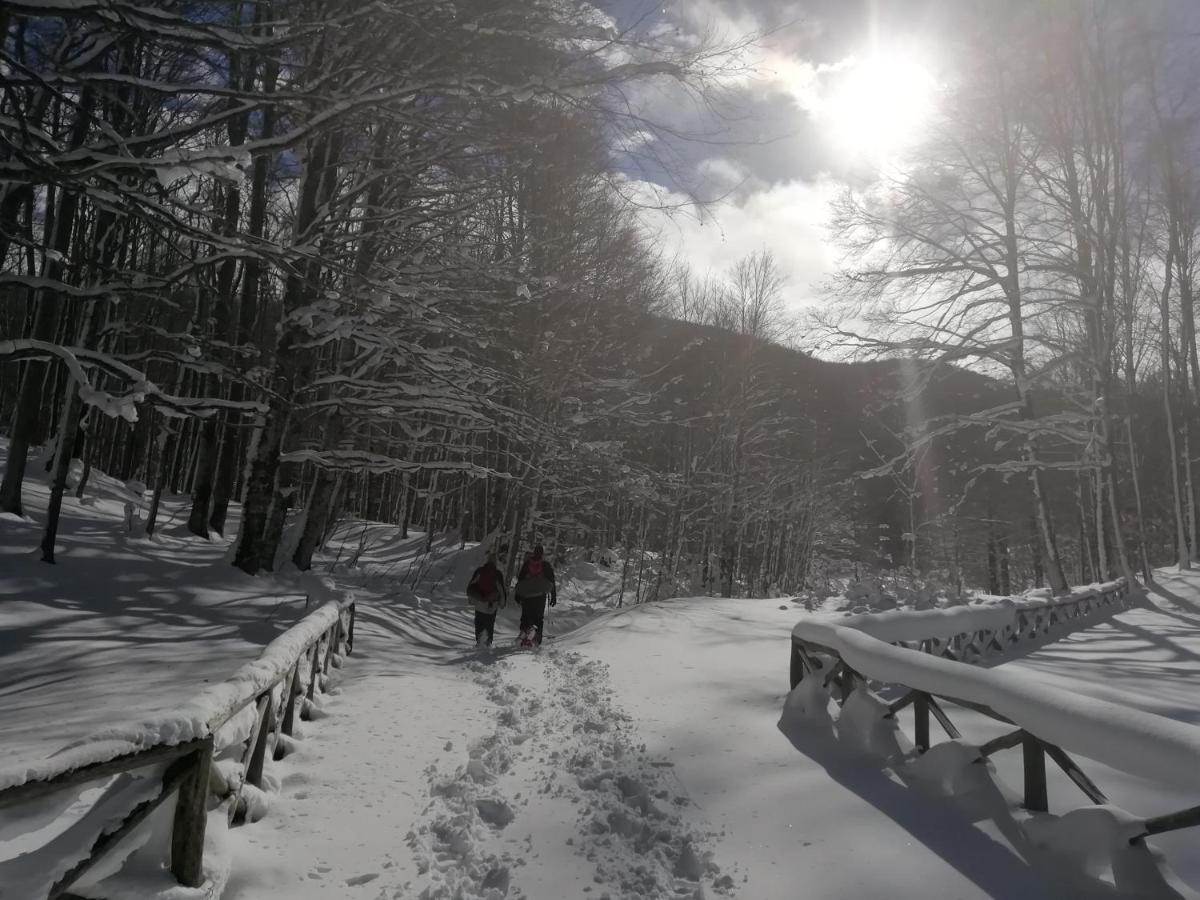 B&B Il Buon Cammino Roccamandolfi 외부 사진